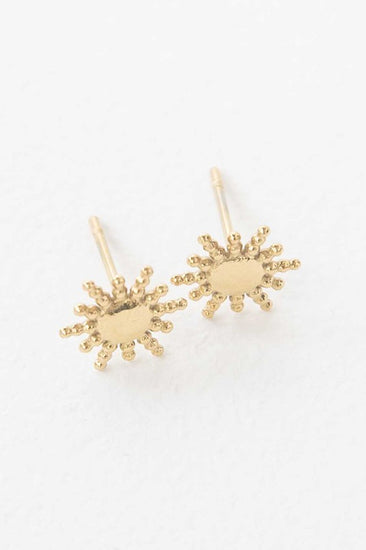 stainless steel gold earrings