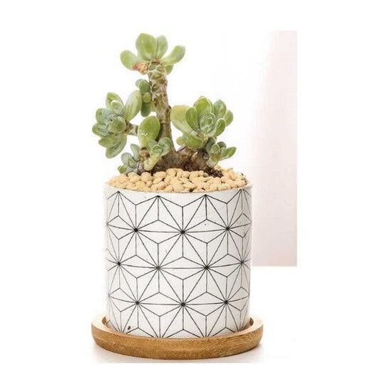 B&W Planters Set of 3 - Rebel K Collective
