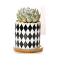 B&W Planters Set of 3 - Rebel K Collective