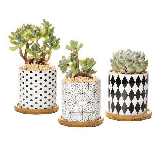 B&W Planters Set of 3 - Rebel K Collective