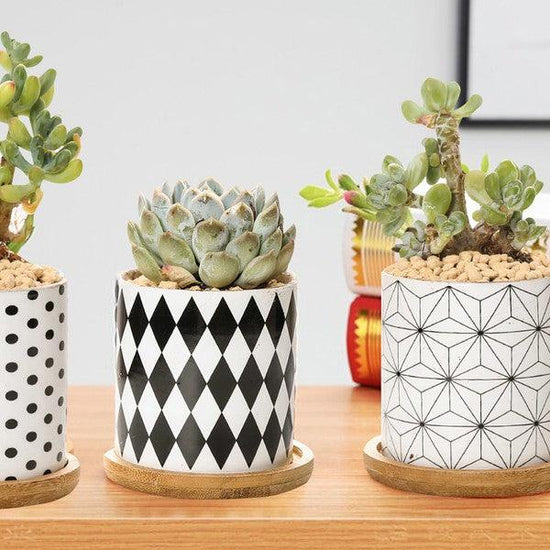 B&W Planters Set of 3 - Rebel K Collective