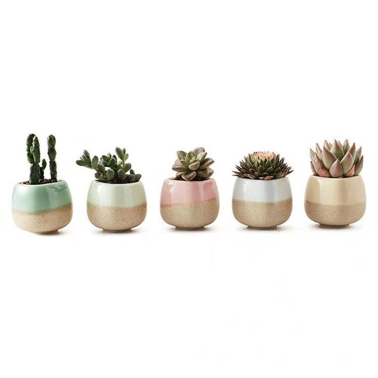 Office Desk Colorful Thumb Succulent Flower Pot Set