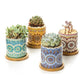 Mandala Planter Set of 4 - Rebel K Collective