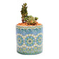 Mandala Planter Set of 4 - Rebel K Collective